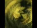 Bronze - Daffodil swirl - Robin Cleverly